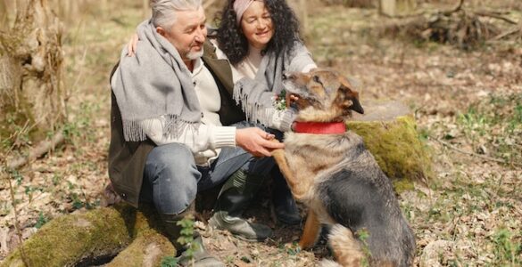 Aging and Senior Pet Care: Promoting Health and Well-being in Older Pets