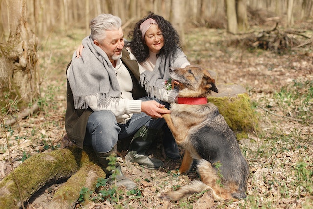 Aging and Senior Pet Care: Promoting Health and Well-being in Older Pets
